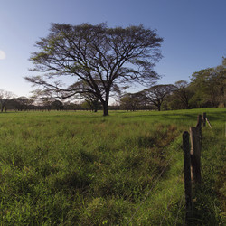 Similar image 8017667