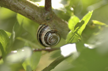 Similar image 8017672