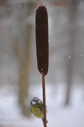 Similar image 8017675