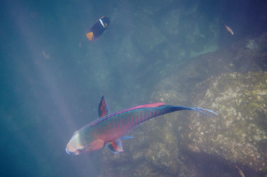 Similar image 8017682