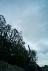 Similar image 8017684