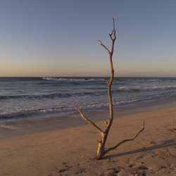 Similar image 8017713