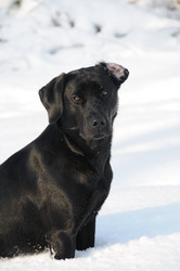 Similar image 8017717