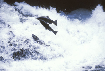 Similar image 8017719