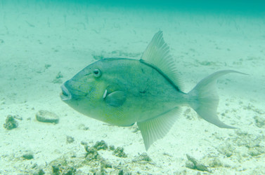 Similar image 8017718