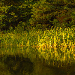 Similar image 8017721