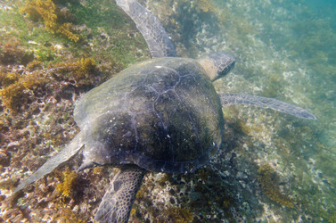 Similar image 8017724