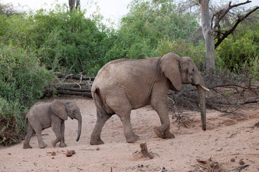 Similar image 8017729