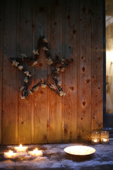 Similar image 8017730