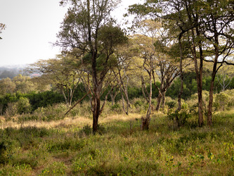 Similar image 8017732