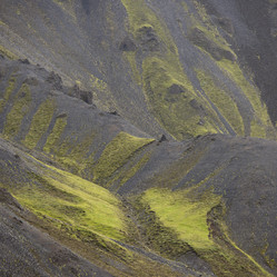 Similar image 8017734