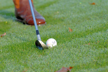 Similar image 8017737