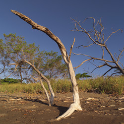 Similar image 8017747