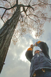 Similar image 8017753