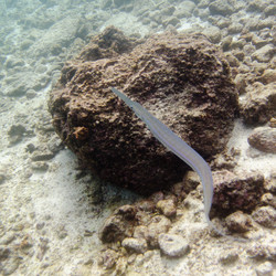 Similar image 8017762