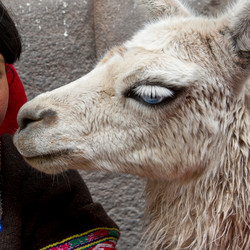 Similar image 8017768