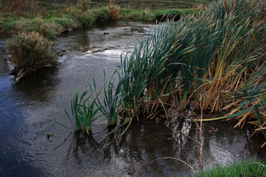 Similar image 8017773