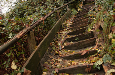 Similar image 8017783