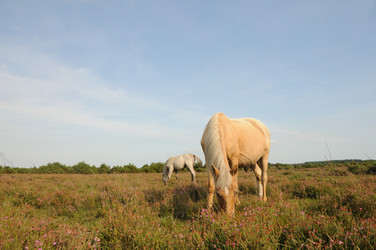 Similar image 8017797