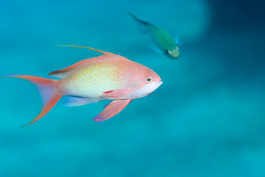 Similar image 8017804