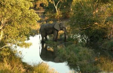 Similar image 8017805