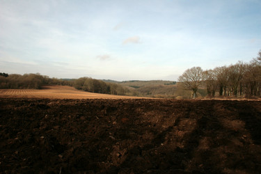 Similar image 8017828