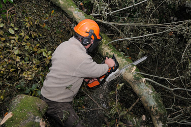 Similar image 8017832