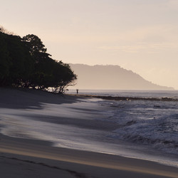 Similar image 8017842