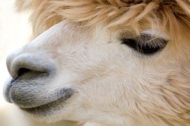 Similar image 8017843