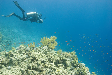 Similar image 8017861