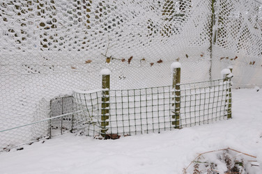 Similar image 8017868