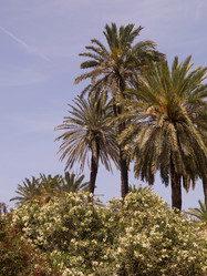 Similar image 8017876