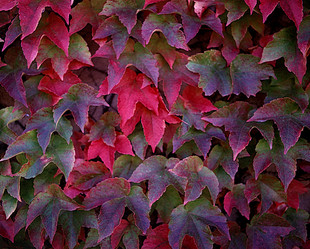 Similar image 8017879