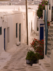 Similar image 8017890