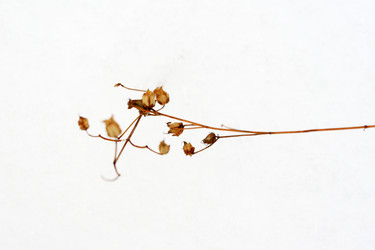 Similar image 8017894