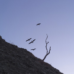 Similar image 8017897