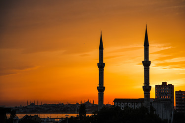 Similar image 8017926