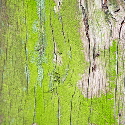 Similar image 8017951