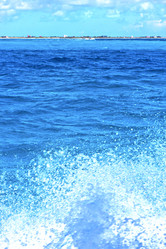 Similar image 8017955