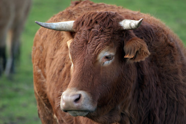 Similar image 8017986