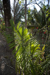 Similar image 8017988