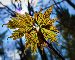 Similar image 8017990