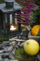 Similar image 8017995