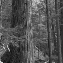 Similar image 8017996