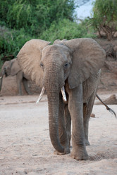 Similar image 8017997