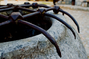 Similar image 8017999