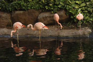 Similar image 8018001