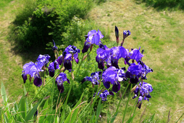 Similar image 8018004