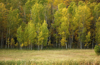 Similar image 8018013