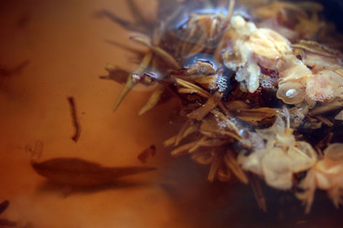 Similar image 8018014